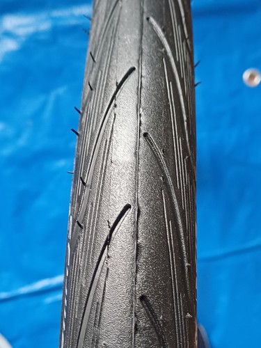 Schwalbe spicer plus - schwalbe,