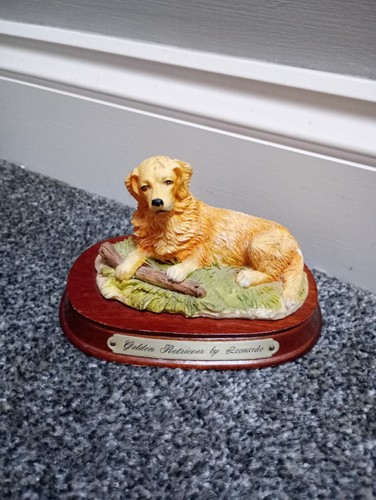 Golden retriever leonardo - retriever,