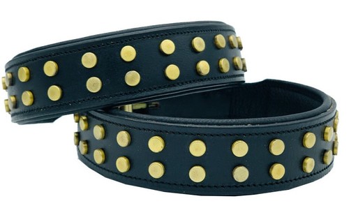 Staffy leather studded dog - leather,