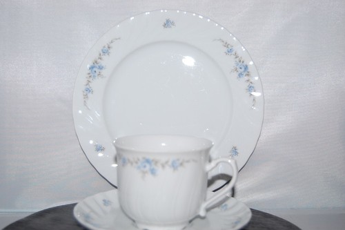 Coffee mug pieces - coffee,