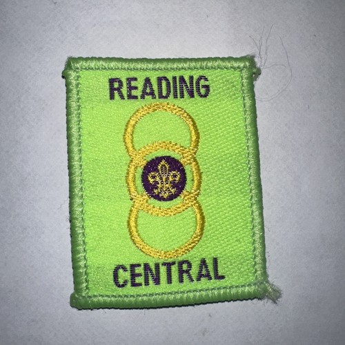Boy scout badge reading - scout,
