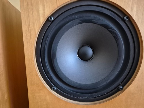 Linn ninka bass mid range - ninka, bass/mid