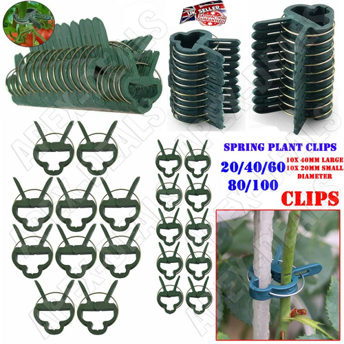 100 garden plant - 20/100, clips