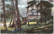 Antique Postcard Swiss Cottage Weybridge England Forest