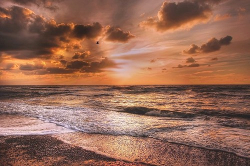 Sunset beach seascape canvas - sunset,