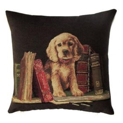 Labrador puppy dog with books - puppy,