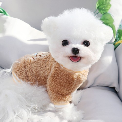 Winter double fleece pet - winter,
