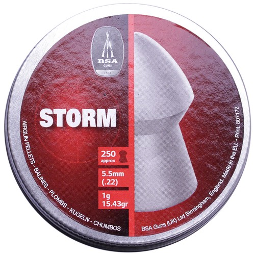 Bsa storm pointed - pointed, .22