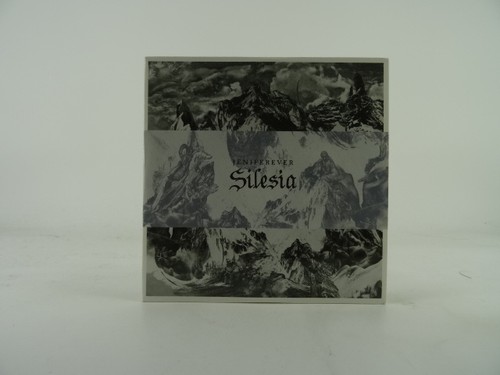 Jeniferever silesia 9 - jeniferever,