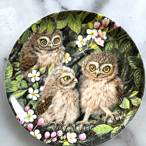 Wedgwood bone china collector - wedgwood,