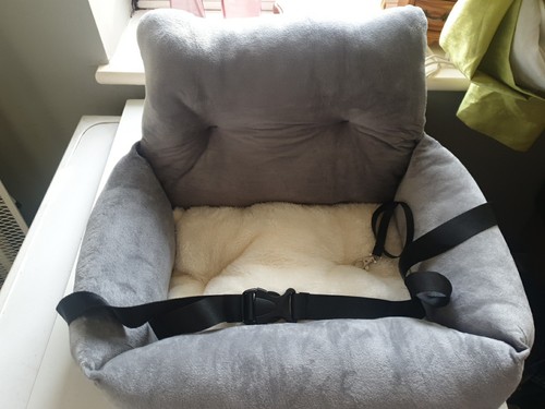 Small car dog seat compatible - car,