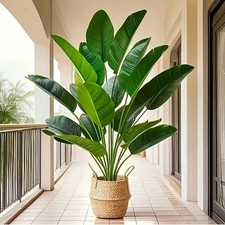Large Artificial Palm Tree
