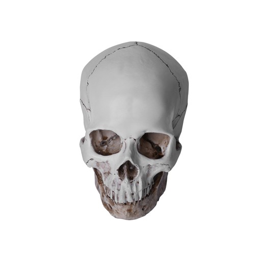 Resin replica life - resin,