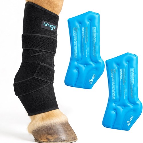 Newgo horse ice pack for - newgo,
