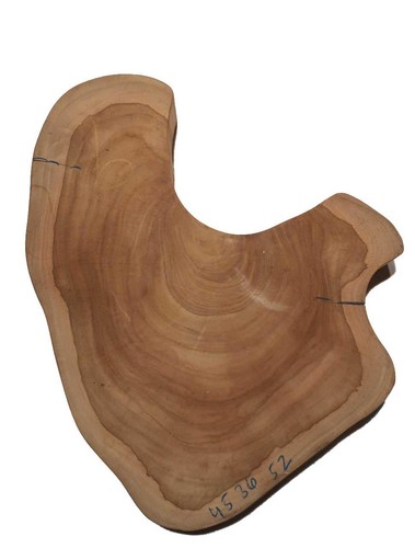 Teak tree slice - slice, wood
