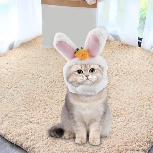 Cute pet cat hat - cat,