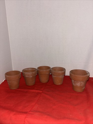Terra cotta pots lot - terra,
