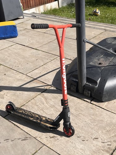 Junior stunt mongoose - mongoose, scooter