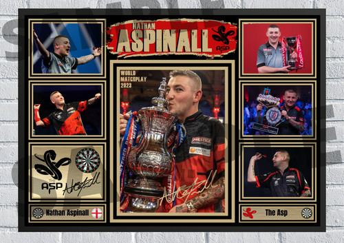 Nathan aspinall darts pdc - darts,