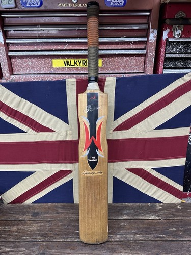 Woodworm freddie flintoff - woodworm,