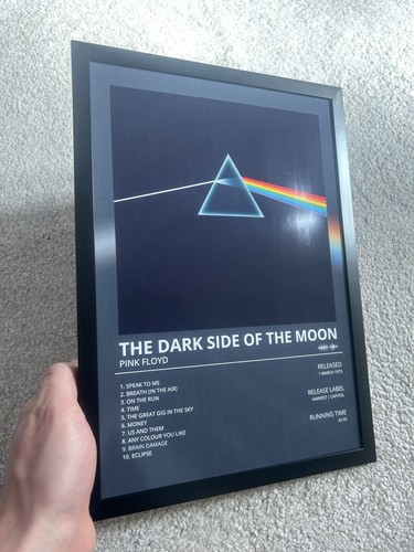 Pink floyd dark side - pink, the