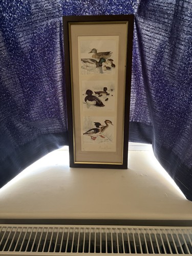 Robert bateman limited - bateman,