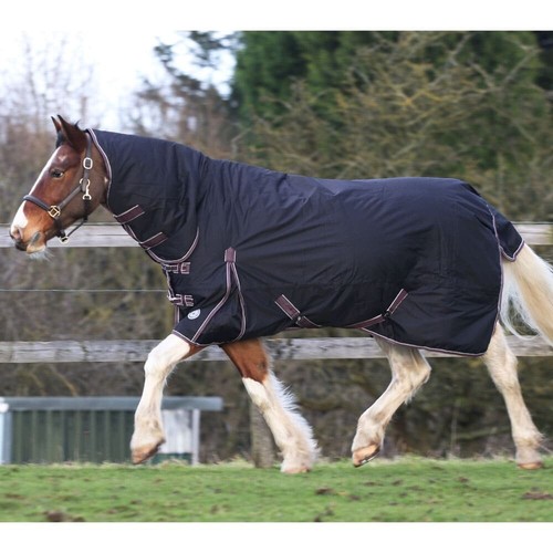 Winter 350g turnout rug - turnout,