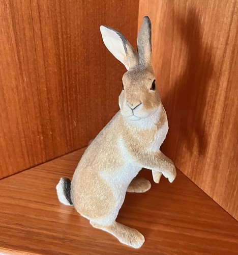 Sherratt simpson hare - simpson, on