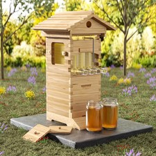 Flow Bee Hive Starter Kit –