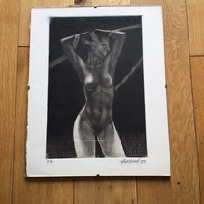 Vintage 1983 Nude Female