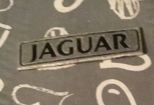 Jaguar car badge - car,