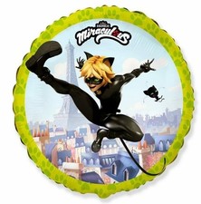 Flexmetal Miraculous Cat Noir