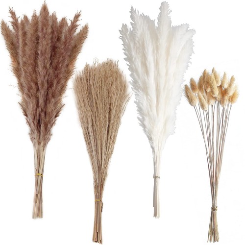 100 pcs boho pampas grass - 100,