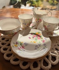 Vintage Queen Anne “Old Country Spray” Bone China Tea Set – 9 Piece Full Group