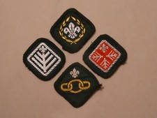 Chief Scout Award, Advanced