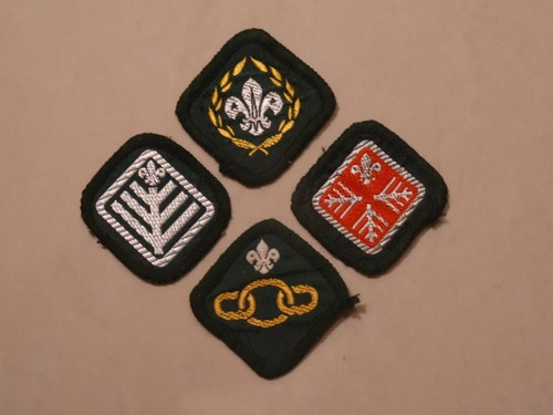 Chief scout award advanced - scout, award,
