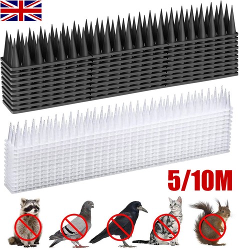 Wall fence spikes intruder - fence,