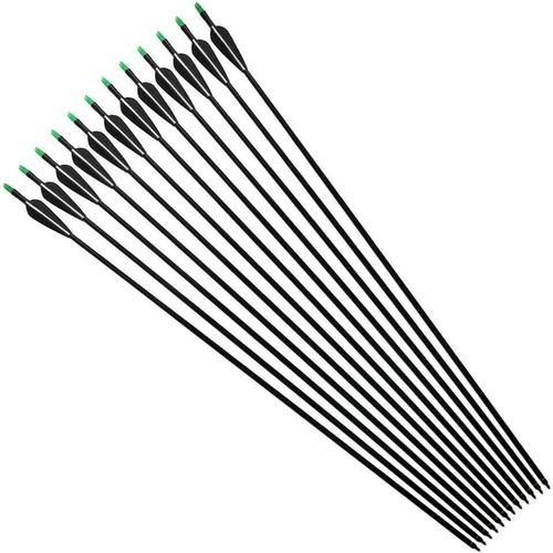 12pcs fiberglass arrows - 12pcs,