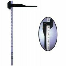 JACKS, INC (10502-MI) Horse