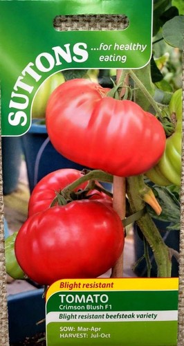 Blight resistant beefsteak - resistant,
