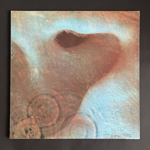 Pink floyd meddle 1972 - floyd,