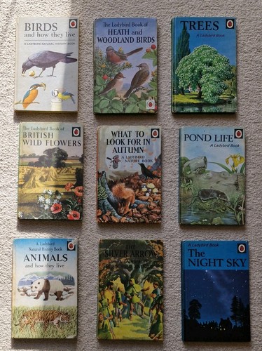 Ladybird books vintage 1960s - ladybird,