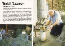 Norfolk Lavender, The Distillery - Unposted 1980s - Norfolk Lavender