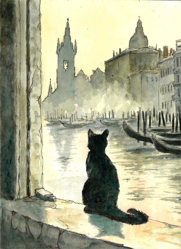 Cat watching misty venice - watching, a