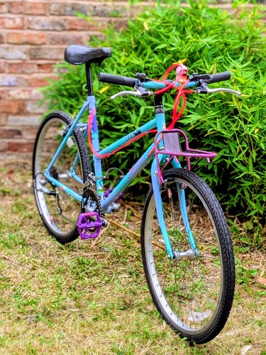 Raleigh montana 90s mtb step - raleigh,