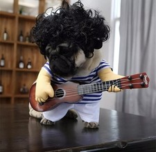 Pet Guitar Costume - Funny Dog