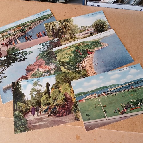 Postcard lot paignton - 6,
