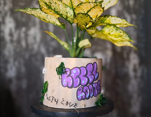 Personalised graffiti planter - personalised,