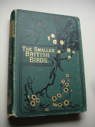 The smaller british - the,