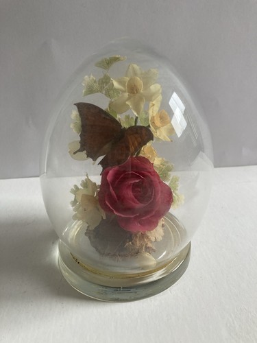 Vintage glass dome - vintage,